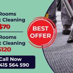 The Ultimate Top Ryde Carpet Cleaning Experience