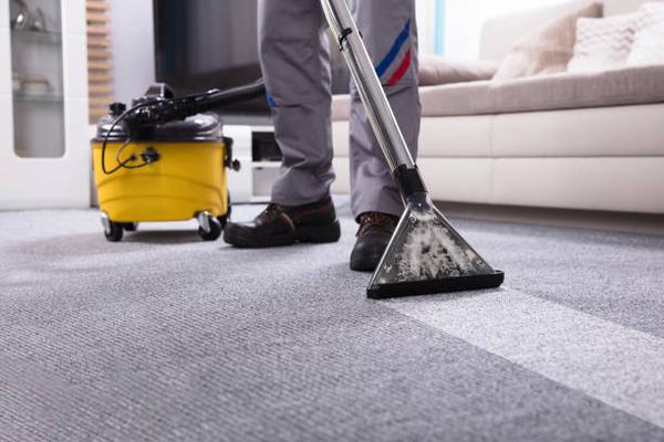 Why Regular Carpet Cleaning is Essential for a Healthy Home